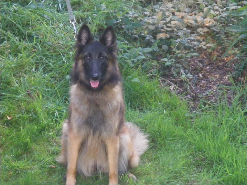 cirka